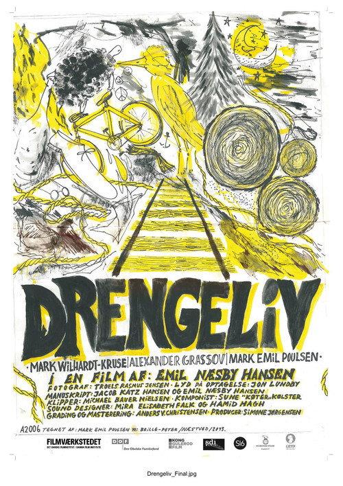 Drengeliv 2013 official movie poster