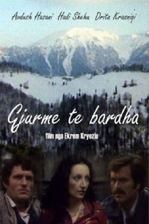 The White Traces 1980 official movie poster