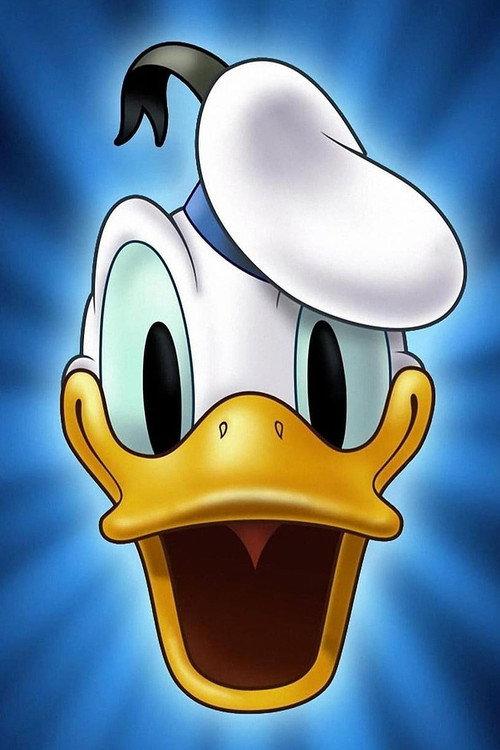 Duck Flies Coop 1959 official movie poster