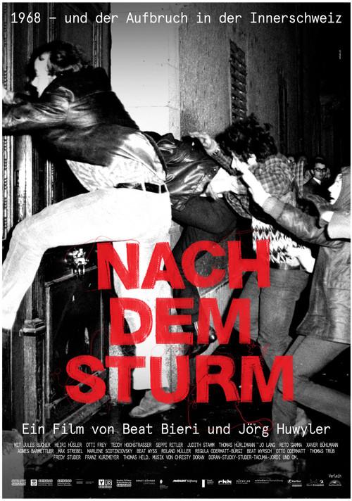 Nach dem Sturm 2019 official movie poster