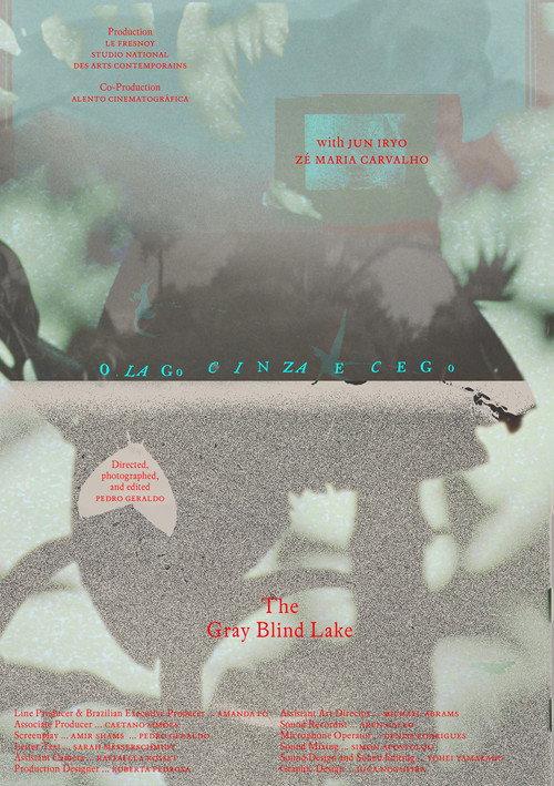 The Gray Blind Lake 2026 official movie poster