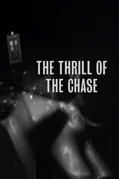 The Thrill of The Chase 2010 official movie poster