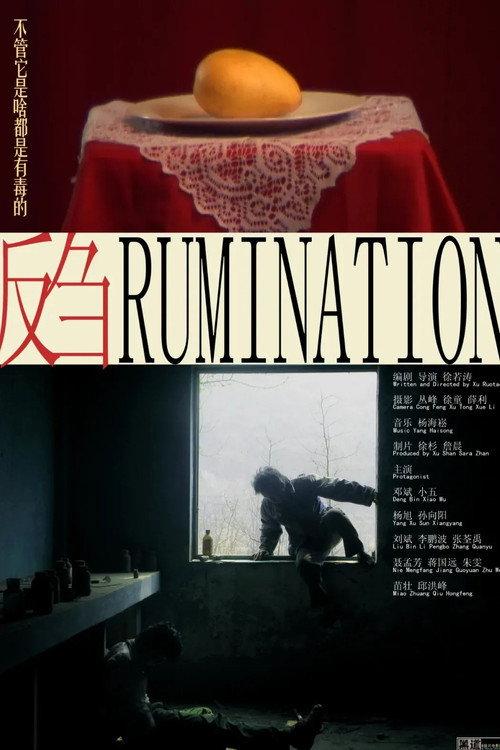Rumination 2009 official movie poster