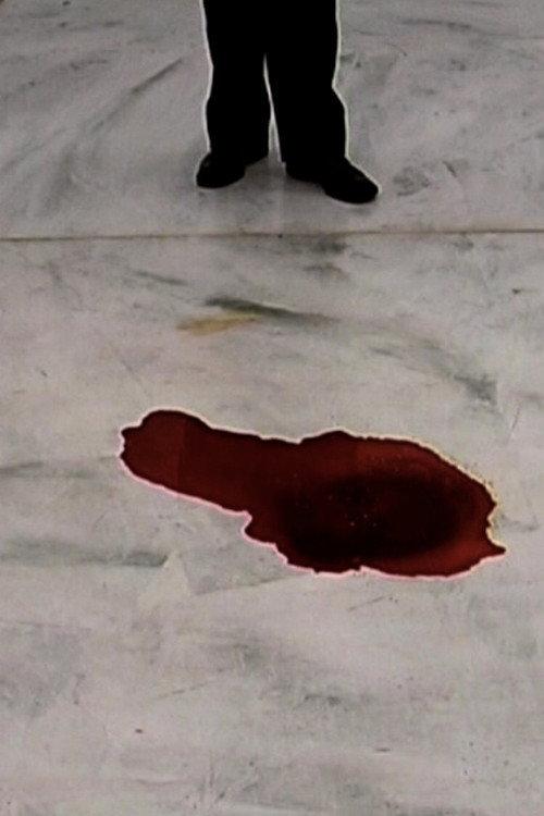 TRAGEDIA ENDOGONIDIA - BR.#04 BRUSSELS 2003 official movie poster