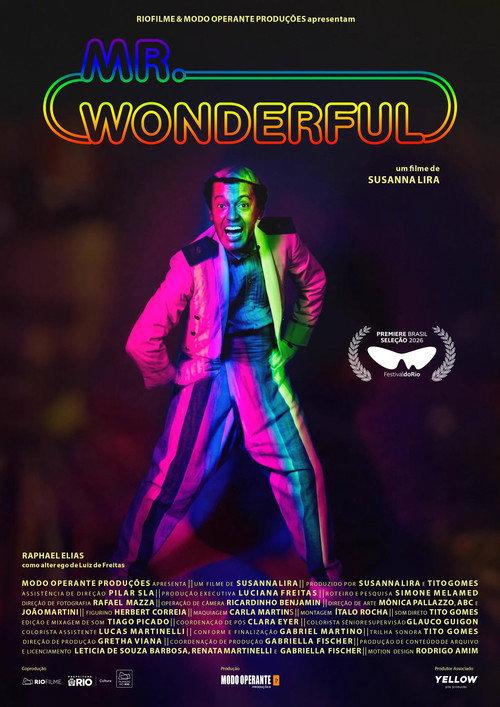 Mr. Wonderful 2026 official movie poster