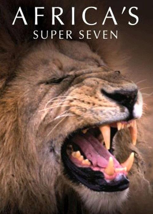 Africa's Super Seven 2005 official movie poster