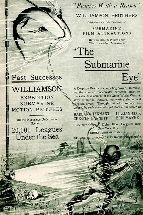 The Submarine Eye 1917 official movie poster