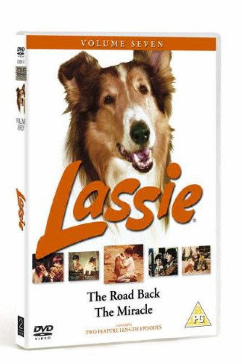 Lassie - The Road Back 1970 official movie poster