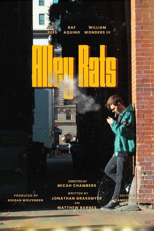 Alley Rats  official movie poster