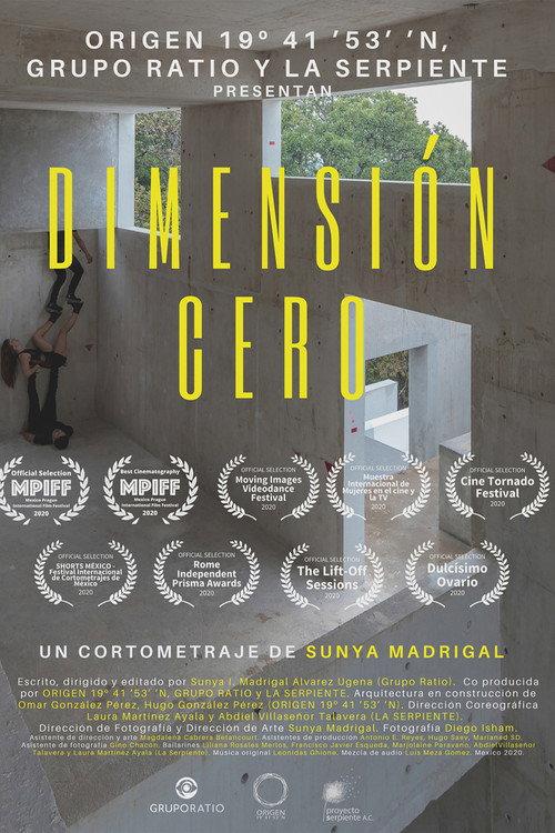 Zero Dimension 2020 official movie poster