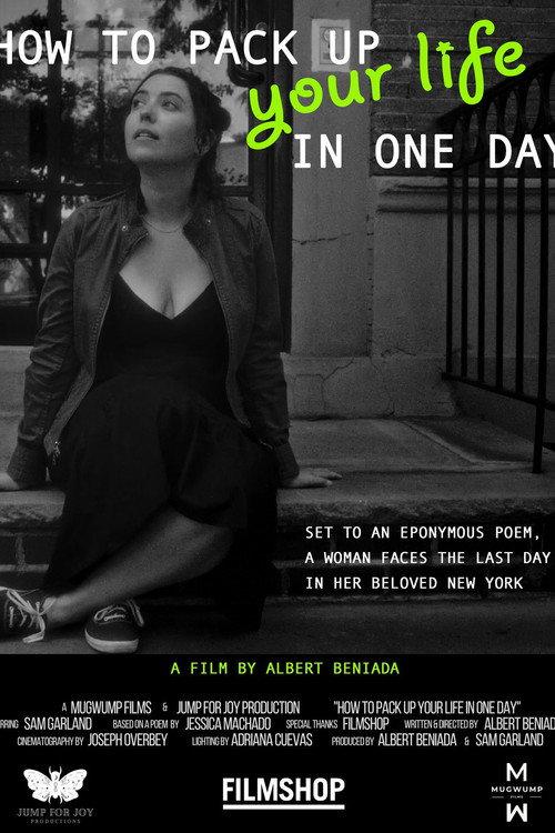 How to Pack Up Your Life in One Day 2023 official movie poster