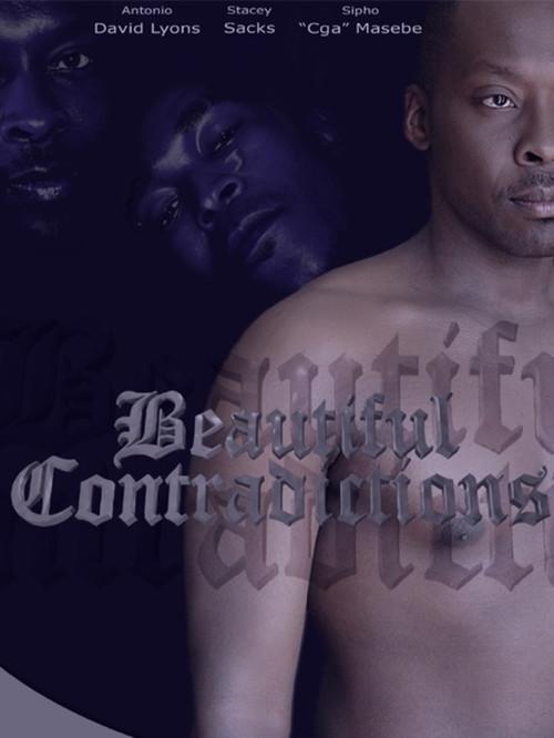 Beautiful Contradictions 2009 official movie poster