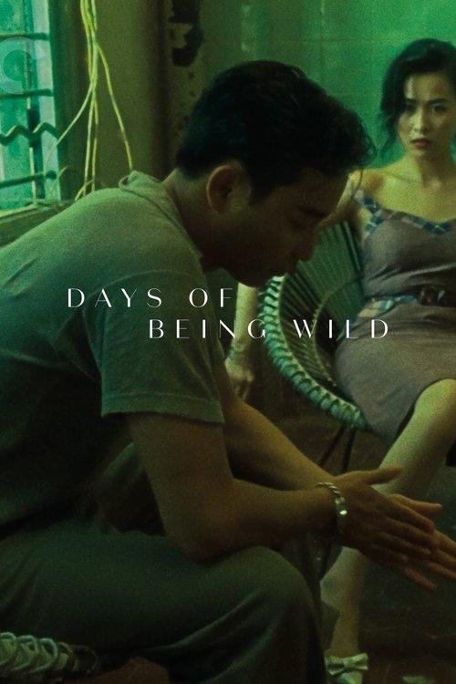 Days of Being Wild 1990 official movie poster