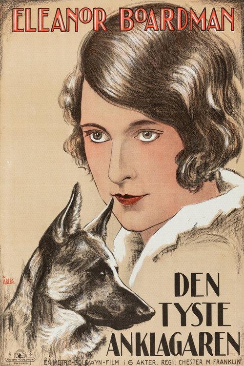 The Silent Accuser 1924 official movie poster