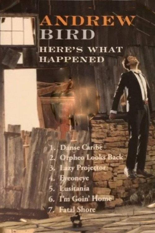 Andrew Bird: Here's What Happened 2012 official movie poster
