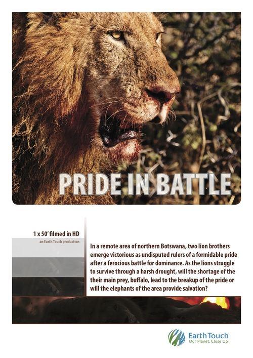 Pride in Battle 2010 official movie poster