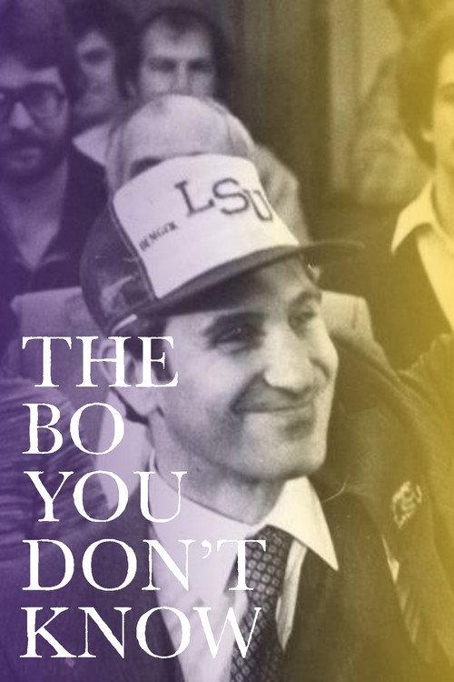 The Bo You Don't Know 2015 official movie poster
