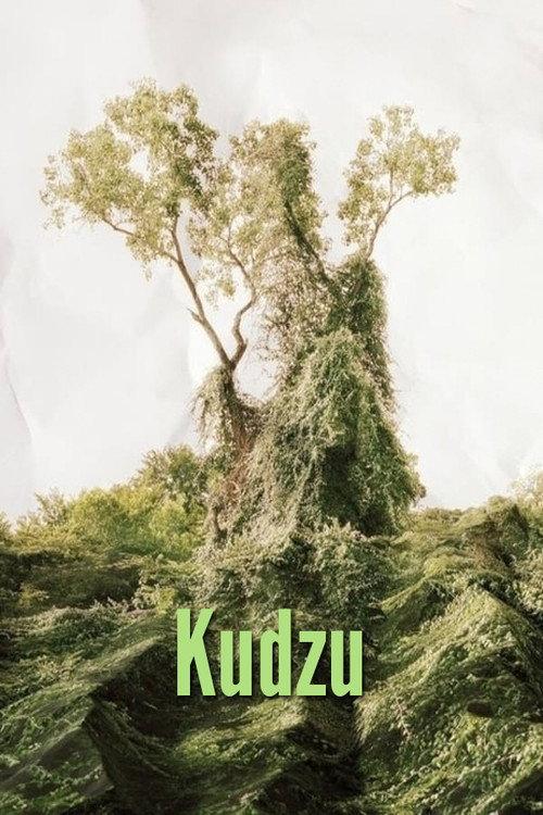 Kudzu 1977 official movie poster