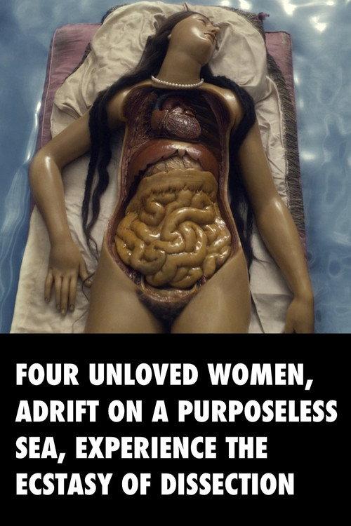 Four Unloved Women, Adrift on a Purposeless Sea, Experience the Ecstasy of Dissection 2023 official movie poster