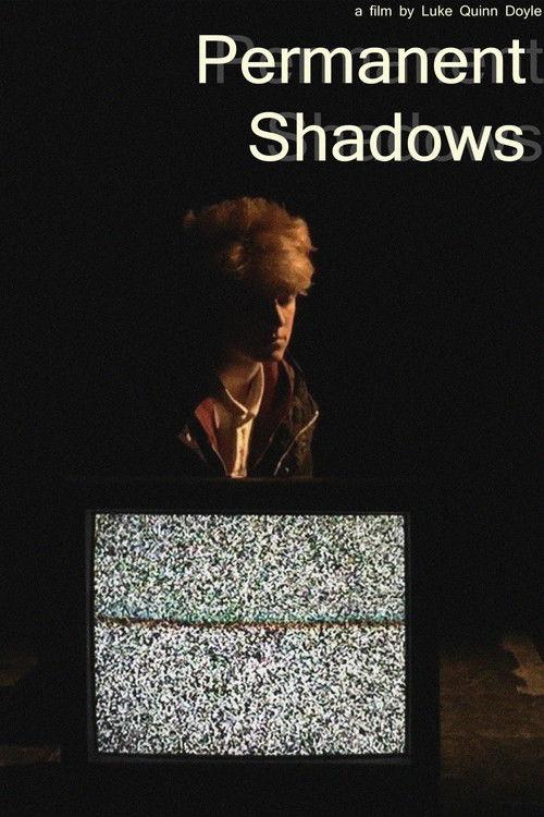 Permanent Shadows 2017 official movie poster
