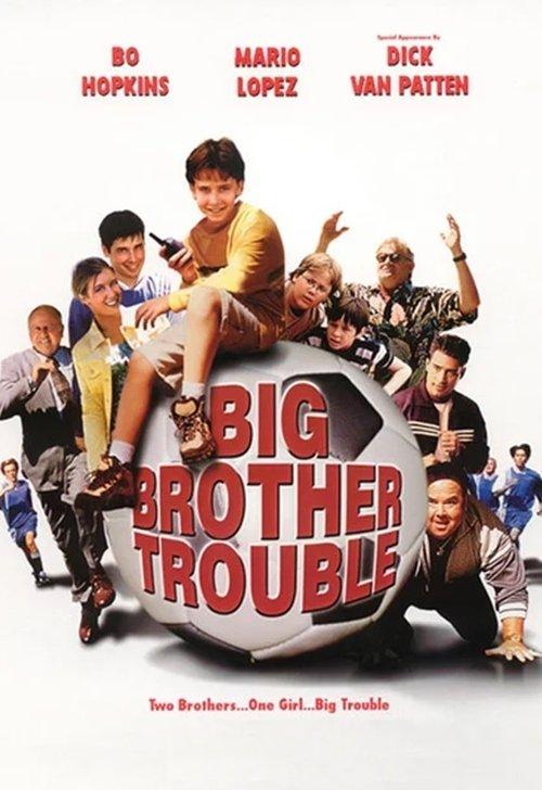 Big Brother Trouble 2000 official movie poster