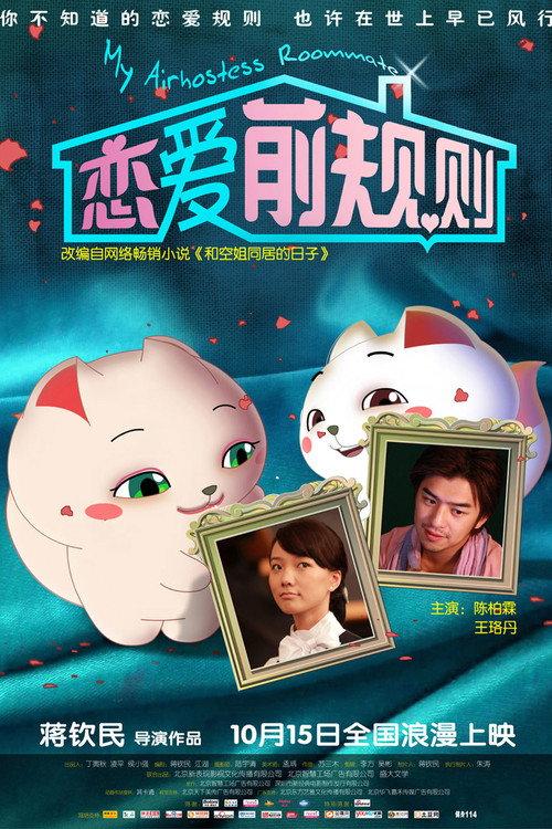 My Airhostess Roommate 2009 official movie poster