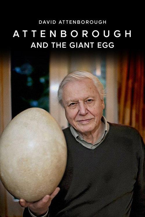 Attenborough and the Giant Egg 2011 official movie poster