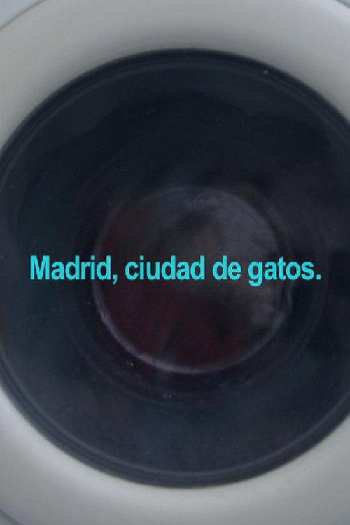 Madrid, City of Cats 2020 official movie poster