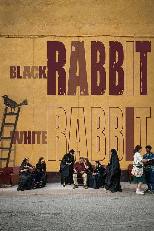 Black Rabbit, White Rabbit 2025 official movie poster