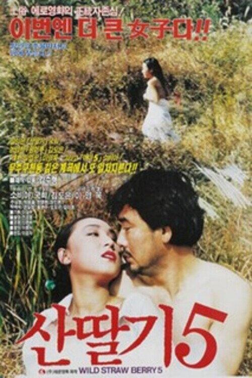 Mountain Strawberries 5 1992 official movie poster