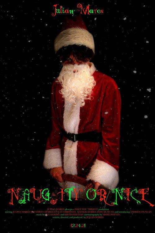 Naughty or Nice 2021 official movie poster