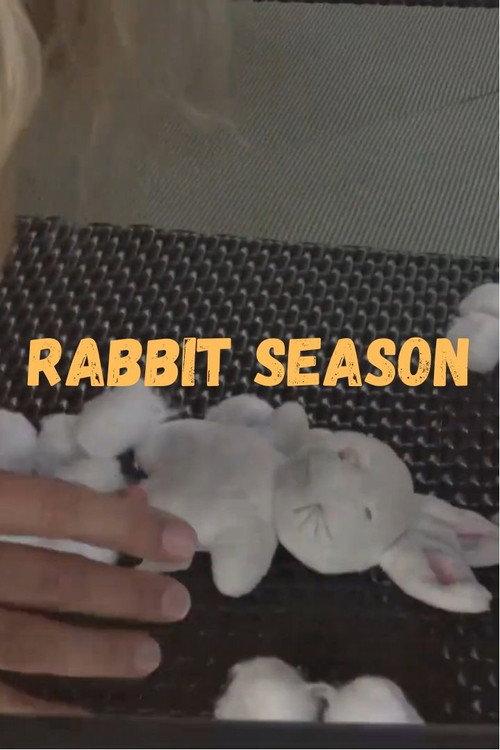 Rabbit Season  official movie poster