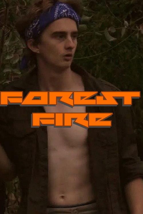 Forest Fire 2022 official movie poster