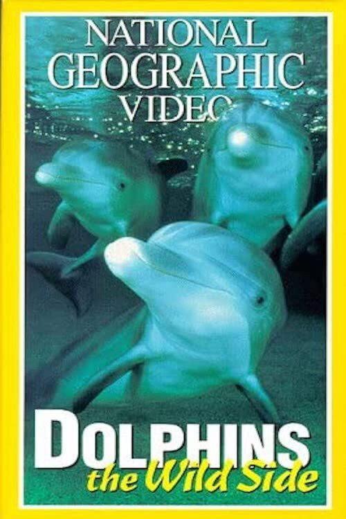 Dolphins: The Wild Side 1999 official movie poster