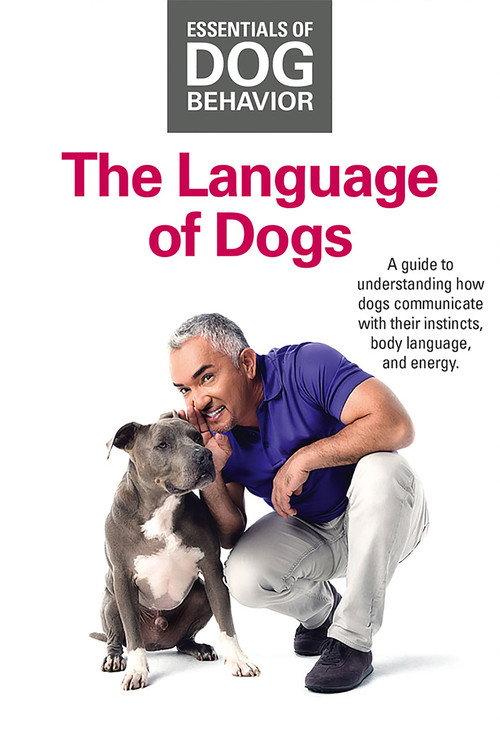 Essentials of Dog Behavior: The Language of Dogs 2015 official movie poster