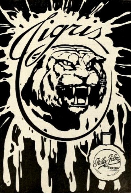 Tigris 1913 official movie poster