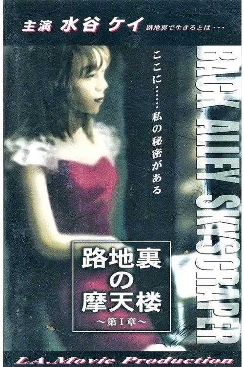 BACK ALLEY SKYSCRAPER 1999 official movie poster