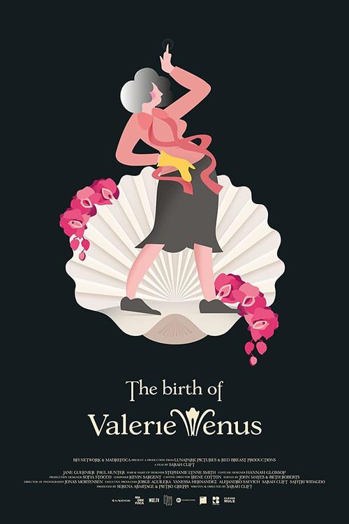 The Birth of Valerie Venus 2020 official movie poster