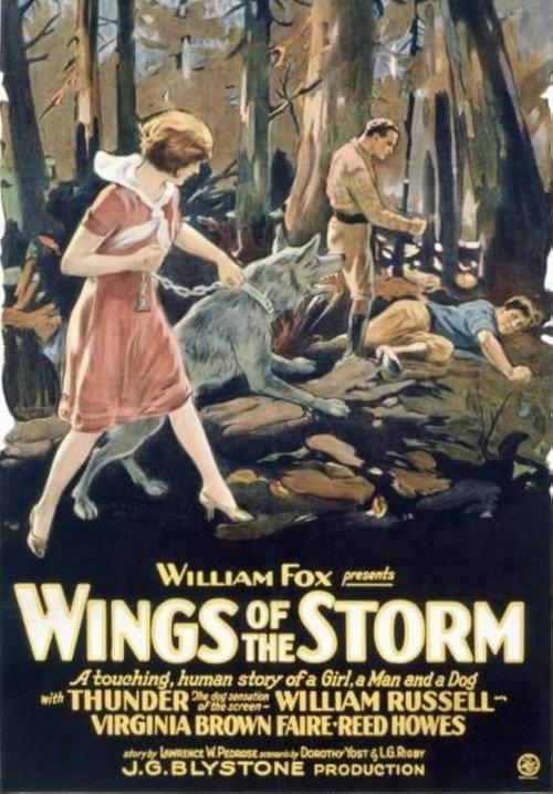 Wings of the Storm 1926 official movie poster