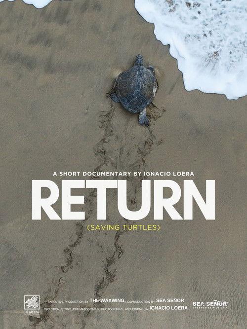Return: Saving Turtles 2026 official movie poster