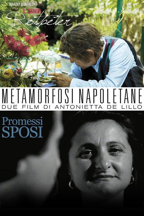 Metamorfosi Napoletane 2017 official movie poster