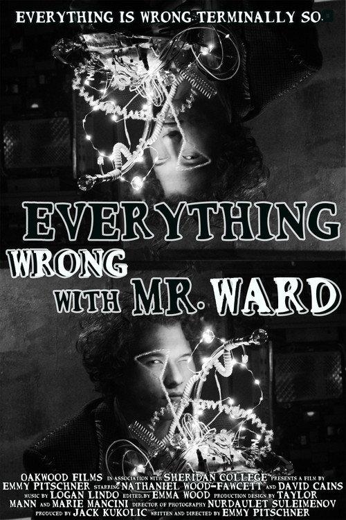 Everything Wrong with Mr. Ward 2025 official movie poster