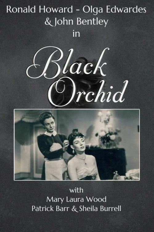 Black Orchid 1953 official movie poster