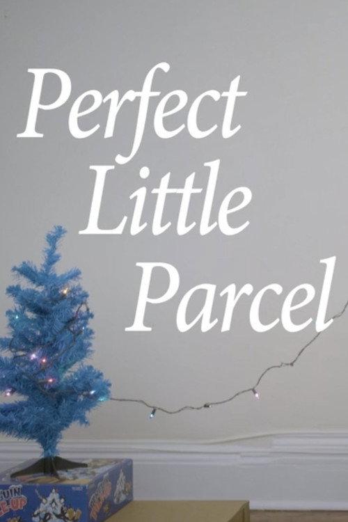 Perfect Little Parcel 2018 official movie poster