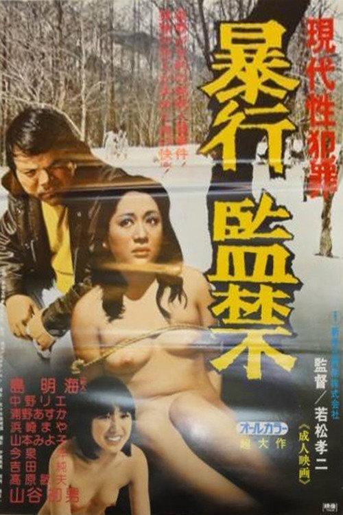 Gendai sei hanzai: Boko kankin 1979 official movie poster