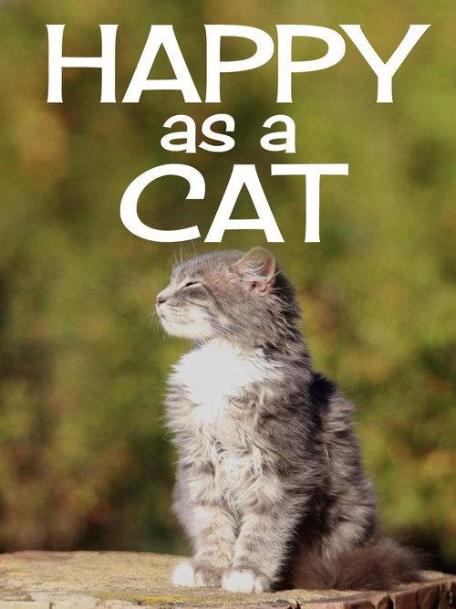 Happy as a Cat 2020 official movie poster