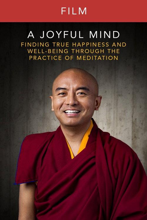 A Joyful Mind - Finding true happiness through the practice of meditation 2016 official movie poster
