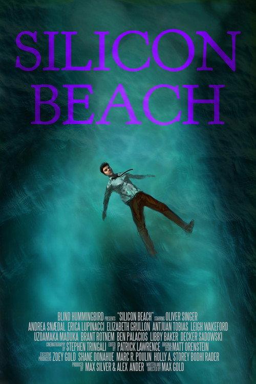 Silicon Beach 2018 official movie poster