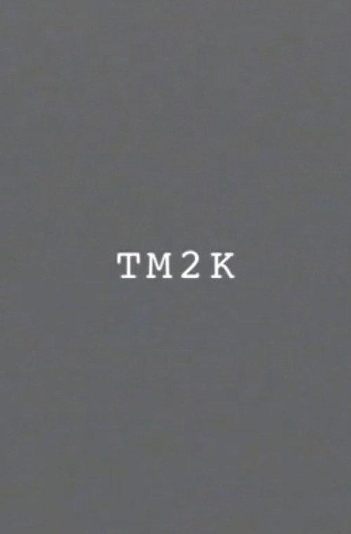 tm2k  official movie poster