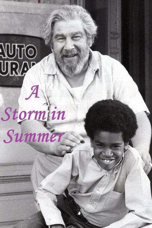 A Storm in Summer 1970 official movie poster
